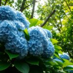 Kwiaty jednoroczne do cienia – szybkie ozdoby ogrodu